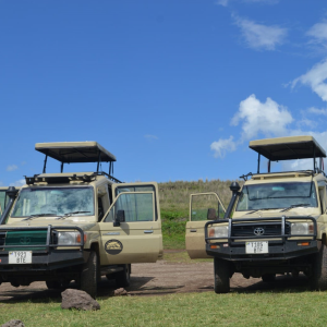8 Days Wildebeest Migration Tarangire, Serengeti, Ngorongoro Crater and Lake Manyara Mid-range Lodge Tour