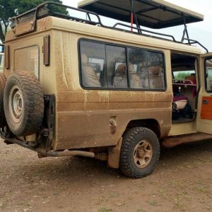 5 Days Tarangire, Serengeti and Ngorongoro Crater Joining Group
