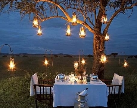 bush-romantic-dinner
