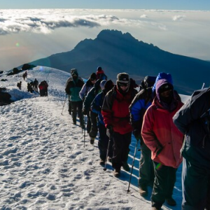 8 Days Mount Kilimanjaro Lemosho Route Climb