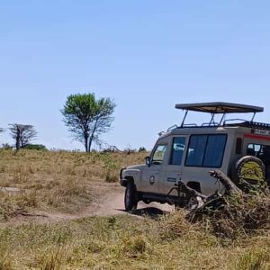 10 DAYS SAFARI MKOMAZI, USAMBARA MOUNTAINS, SAADANI WITH BEACH RELAXATION