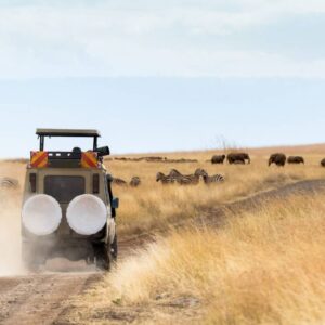 3-Day Tarangire NP, Ngorongoro and Materuni Waterfalls