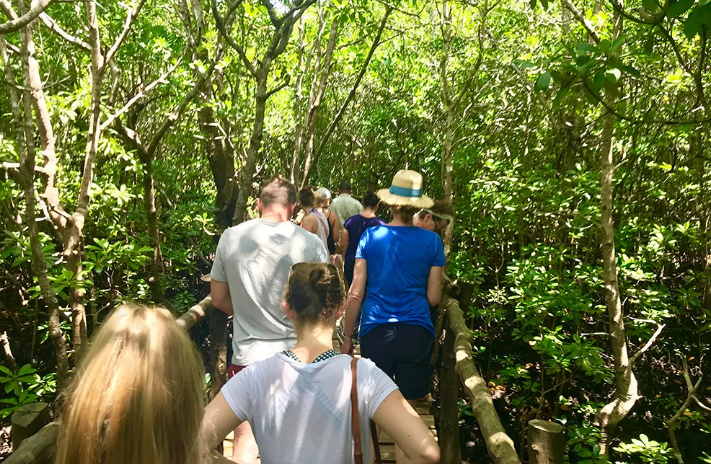 Full day - Jozani Forest, Kuza Cave, Blue Lagoon & the Rock Restaurant