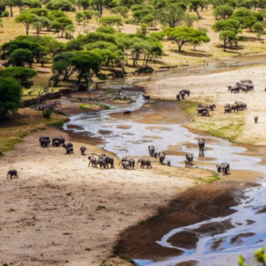Tarangire National Park