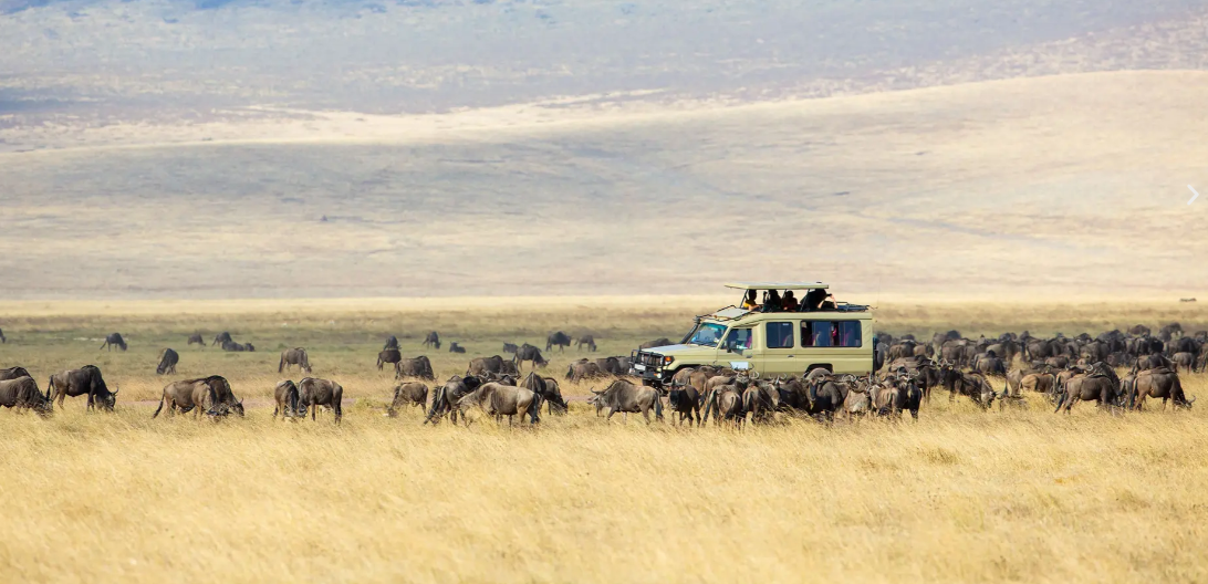 4-Day Tanzania Safari & AFCON 2027 Experience