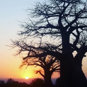 6-Day Fly-in and Drive-out Luxury Safari