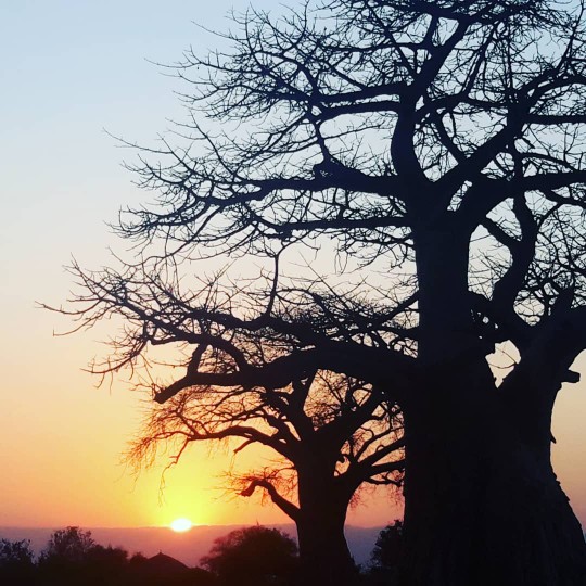 6-Day Fly-in and Drive-out Luxury Safari