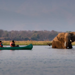 Lake Manyara National Park