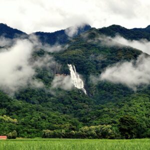 6-Day Nyerere, Mikumi & Udzungwa Mountains by Train