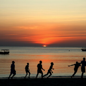 Mnemba Dolphins Tour & Snorkeling