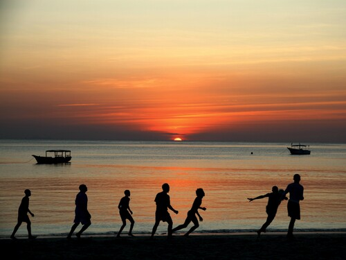 Mnemba Dolphins Tour & Snorkeling