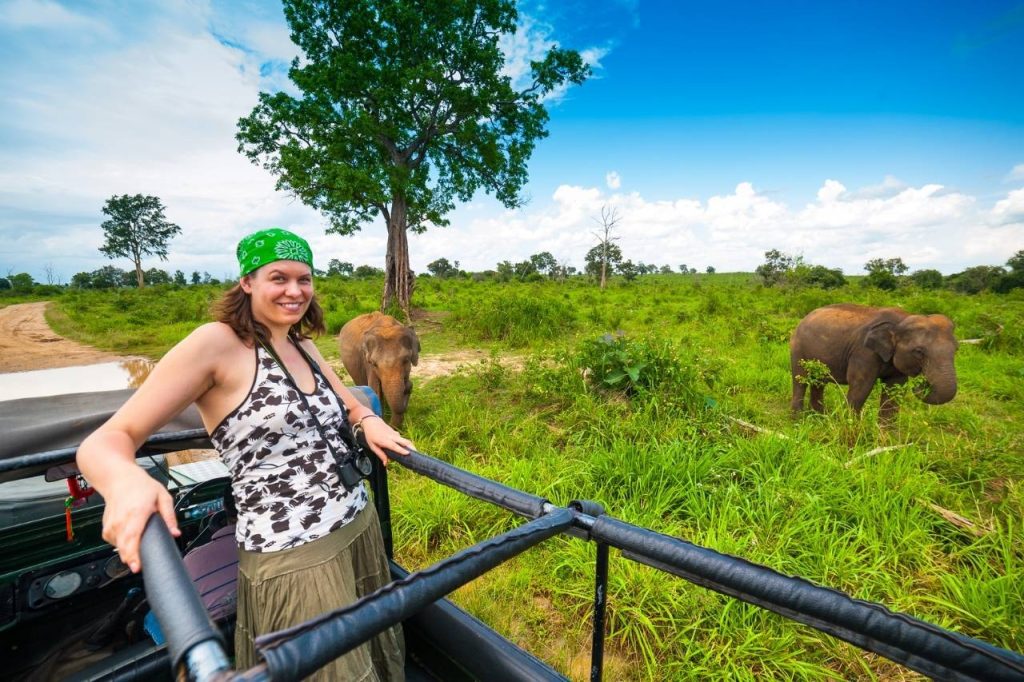 6 Days Tanzania Safari & AFCON 2027 Experience